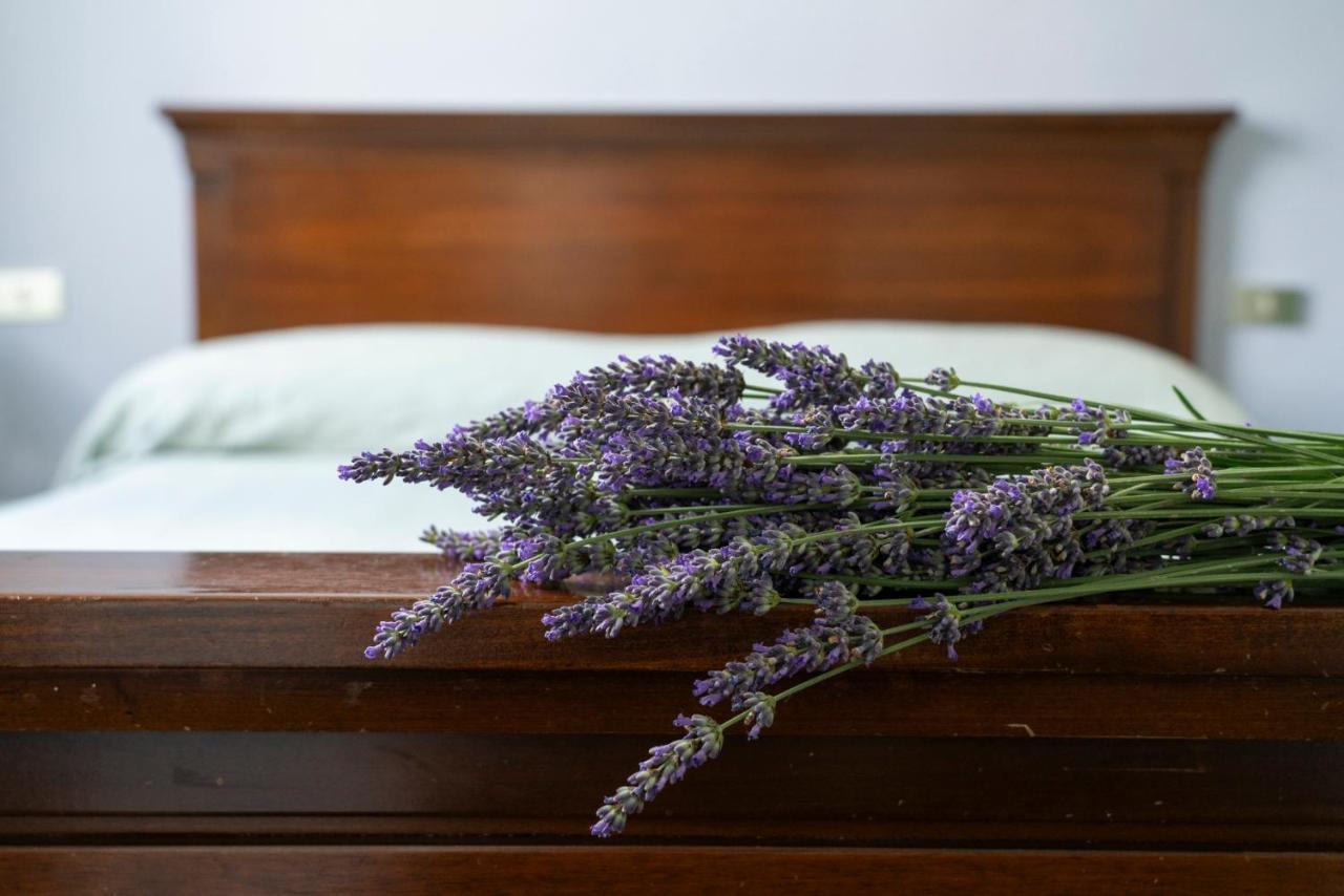 Lago Maggiore A 10 Minuti "Cascina Lavanda" Casalzuigno Eksteriør bilde
