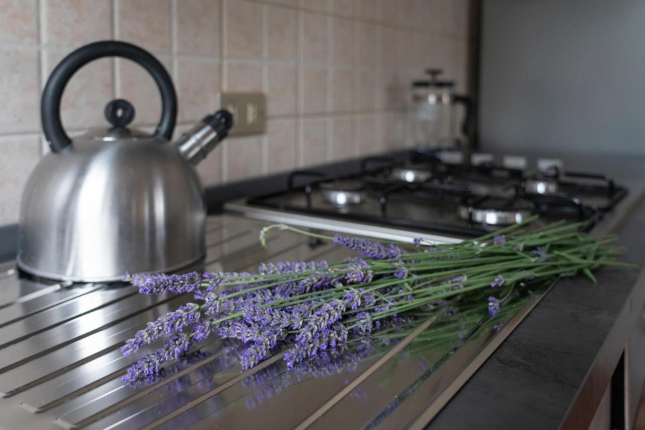 Lago Maggiore A 10 Minuti "Cascina Lavanda" Casalzuigno Eksteriør bilde
