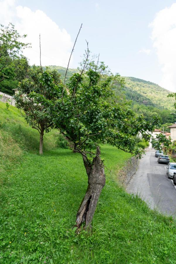 Lago Maggiore A 10 Minuti "Cascina Lavanda" Casalzuigno Eksteriør bilde
