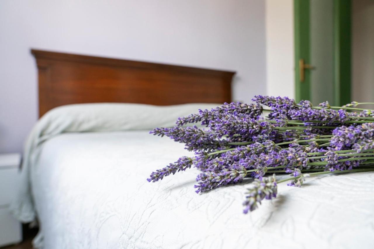 Lago Maggiore A 10 Minuti "Cascina Lavanda" Casalzuigno Eksteriør bilde