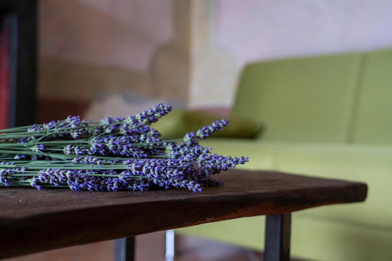 Lago Maggiore A 10 Minuti "Cascina Lavanda" Casalzuigno Eksteriør bilde